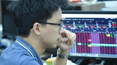 Stocks fall sharply, VN-Index breaks 1,250 point mark, QCG is still an exception