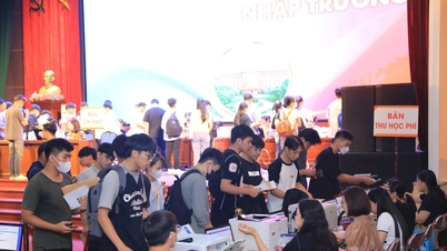 Vì sao 120.000 thí sinh không nhập học?