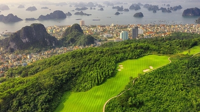 ខេត្ត Quang Ninh កំពុងរៀបចំផែនការកីឡាវាយកូនហ្គោលរហូតដល់ 22 កន្លែង។