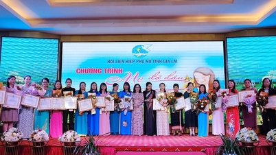 Gia Lai Provincial Women's Union honors 22 "Godmothers"