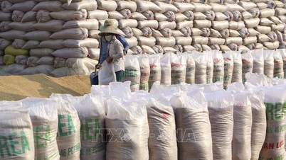 Những diễn biến mới nhất trên thị trường gạo châu Á