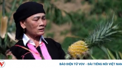 Dao female party member pioneers land reclamation, opens way out of poverty