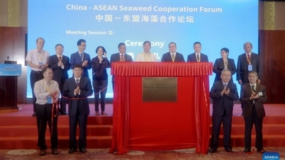 Trung Quốc, ASEAN đẩy mạnh hợp tác phát triển ngành rong biển