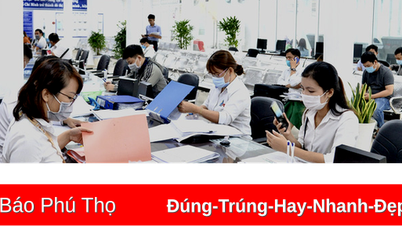 Những cán bộ, công chức, viên chức thuộc diện tinh giản biên chế