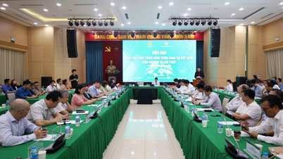 Green buildings face many legal barriers in Vietnam