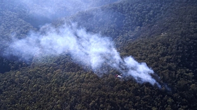 オーストラリア、グランピアンズ国立公園の山火事被害を調査