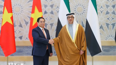 Middle East media highly appreciates Prime Minister Pham Minh Chinh's visit