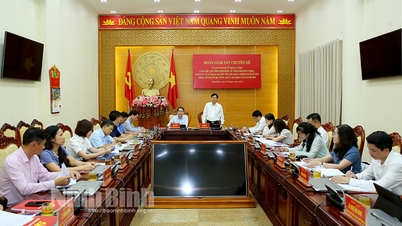 Đoàn giám sát chuyên đề của Ban Kinh tế Trung ương làm việc tại tỉnh Ninh Bình
