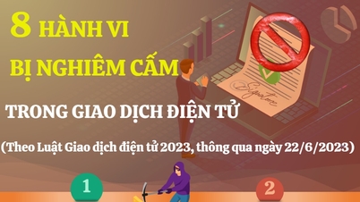 8 prohibited acts in electronic transactions