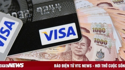 Should I use cash or visa card when going to Thailand?