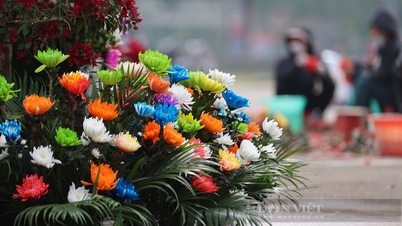 Trăm hoa đua nở trước giờ ra mắt Festival hoa Mê Linh lớn nhất miền Bắc