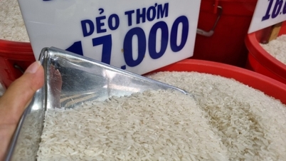 How will rice export prices develop in the coming months?