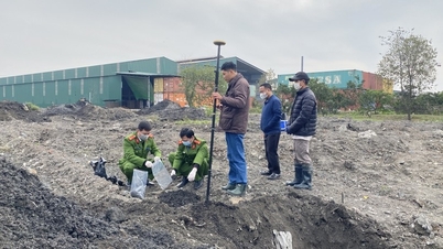 Бывший директор бумажной компании в Бакнине был привлечен к ответственности за незаконное захоронение отходов.