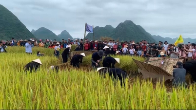 Highlights of the Golden Season Festival in the revolutionary homeland of Bac Son