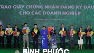 Bình Phước trao giấy chứng nhận đầu tư cho 32 doanh nghiệp tổng vốn 628,7 triệu USD
