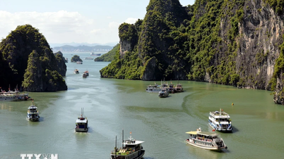 Xác minh, làm rõ việc tàu du lịch "bỏ rơi" khách trên vịnh Hạ Long