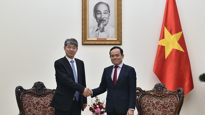 Vietnam requests IAEA to continue supporting policy making and training of nuclear energy human resources