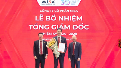 Ông Lê Hồng Quang được bổ nhiệm làm Tổng Giám đốc MISA