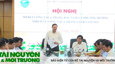 Cục Biển và Hải đảo Việt Nam sơ kết 6 tháng đầu năm 2023