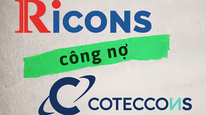 Ricons បានកំណត់ថា វានឹងពិបាកក្នុងការប្រមូលបំណុលរាប់រយពាន់លានដុងពី Coteccons