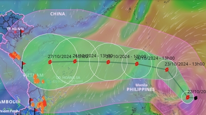 Es probable que la tormenta Trami se dirija hacia el centro de Vietnam, provocando fuertes lluvias generalizadas.