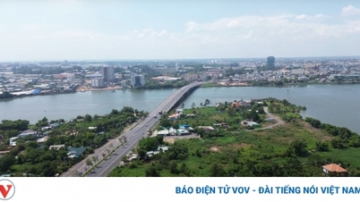 Dong Nai converts rice fields to build urban areas worth more than 72,000 billion VND