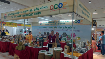 Thương mại Đắk Nông duy trì phát triển