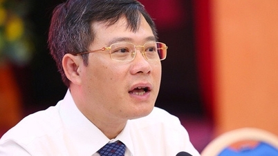Bổ nhiệm Trợ lý Phó Thủ tướng