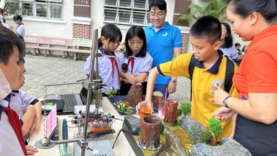 TP.HCM quy định 3 hình thức giáo dục STEM trong trường học
