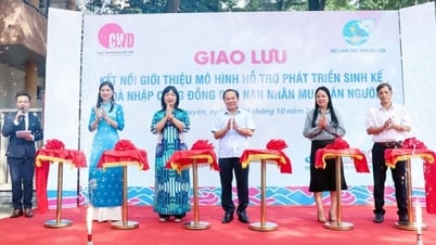 ការភ្ជាប់ និងណែនាំគំរូដើម្បីគាំទ្រជនរងគ្រោះនៃការជួញដូរមនុស្ស