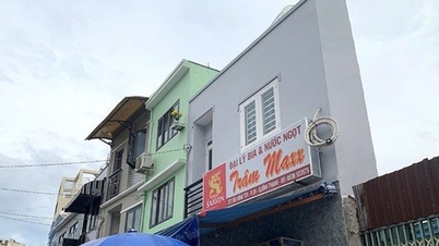 TP HCM đề xuất sửa luật liên quan đến thửa đất 'siêu nhỏ'