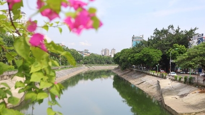 Nước chuyển màu xanh như nước Hồ Gươm, sông Tô Lịch bỗng 'nên thơ, trữ tình'