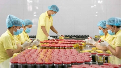 Ngành dược liệu khó giải bài toán tiêu thụ