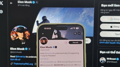 2 tỷ lượt xem tin giả bầu cử Tổng thống Mỹ trên tài khoản X của Elon Musk