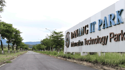 Ông lớn đứng sau ‘Thung lũng Silicon’ bỏ hoang tại Đà Nẵng