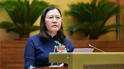 Đại biểu đồng tình quy định nghiêm cấm thỏa thuận mua bán người từ khi là bào thai