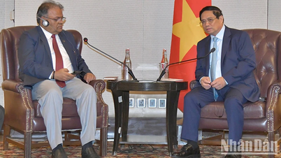 Thủ tướng Phạm Minh Chính tiếp các tập đoàn công nghiệp, dầu khí, công nghệ hàng đầu Ấn Độ
