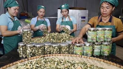 Kịp thời đáp ứng nhu cầu vay vốn của các đối tượng chính sách để phát triển sản xuất kinh doanh