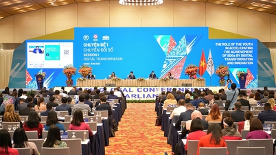 Hội nghị Nghị sĩ trẻ toàn cầu tiến hành phiên thảo luận đầu tiên về chuyển đổi số