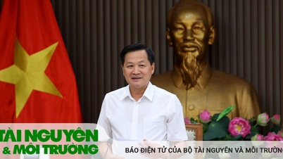 យល់ព្រមលើគោលនយោបាយបន្ថែមឧស្សាហកម្មគីមី គាំទ្រ Vinachem ដើម្បីបង្កើនដើមទុនធម្មនុញ្ញ