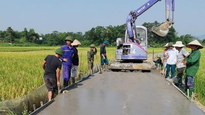 Những kết quả toàn diện