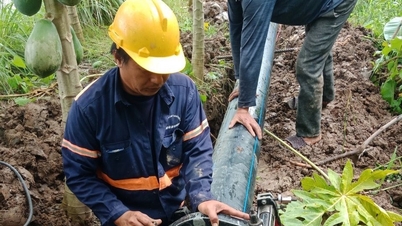 Cần Thơ quản lý hiệu quả tài nguyên nước: Thúc đẩy kinh tế