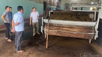 Nghiệm thu 2 đề án khuyến công địa phương tại Xín Mần và Bắc Quang