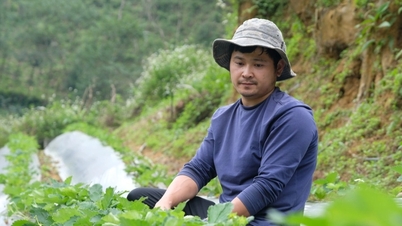 Cảnh báo lừa đảo đưa lao động sang Hàn Quốc làm việc thời vụ