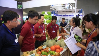 ‘Kéo’ nhà mua hàng quốc tế đến Việt Nam để quảng bá rau, quả
