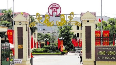 Chủ tịch xã lạm quyền, giao 3,57 ha đất công cho một người dân