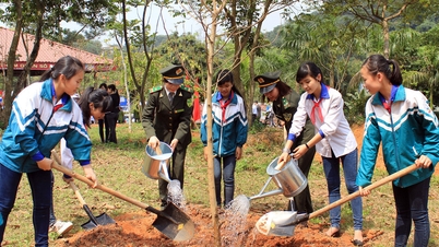 Hà Nội trồng mới 700.000 cây xanh, vì một Thủ đô xanh - sạch