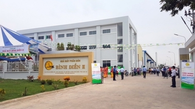 Binh Dien Fertilizer (BFC) Q2 ប្រាក់ចំណេញបានកើនឡើងយ៉ាងខ្លាំង