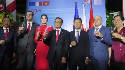 រៀបចំជើងហោះហើរត្រង់ពីវៀតណាមទៅម៉ាល់តា ដើម្បីអភិវឌ្ឍន៍ទេសចរណ៍ និងពាណិជ្ជកម្ម