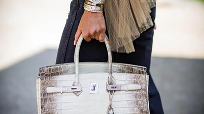 Túi Hermès 'bạch tạng' đắt cỡ nào mà bà Trương Mỹ Lan xin lại?